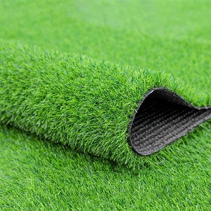 Carpet grasses